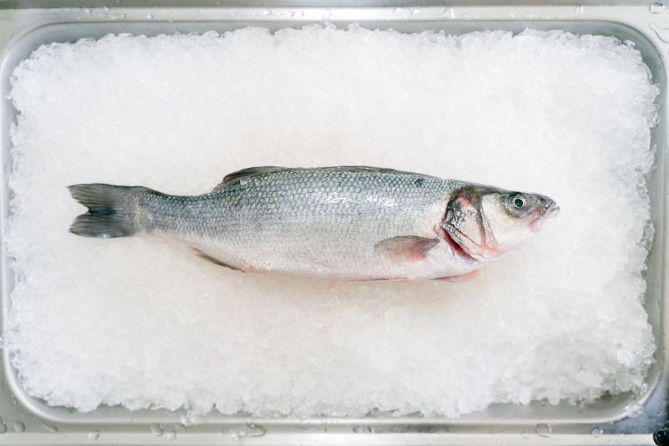 Sjøabbor med oliven, tomater og oregano, servert med brun ris