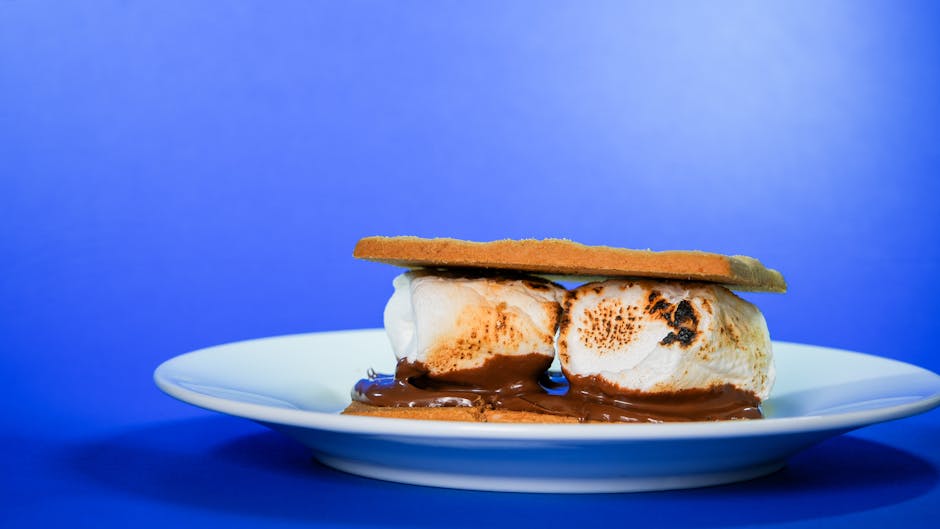 S'mores-barer med grahamkjeks og marshmallow