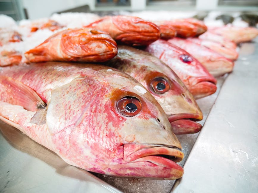 Macadamia-nøtt-panert Onaga med Maui-løkrelish