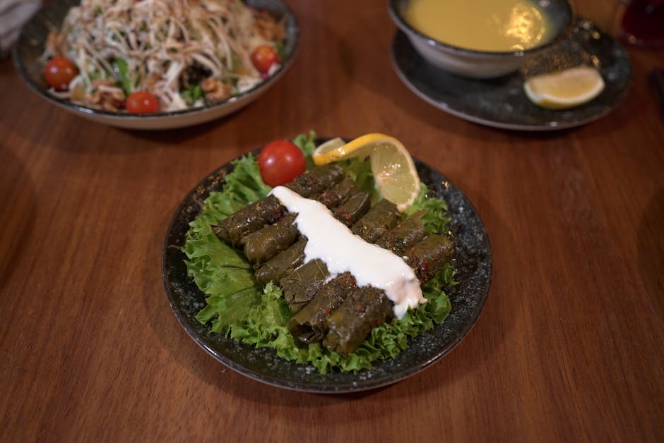 Kjøttfylte drueblader med yoghurtsaus