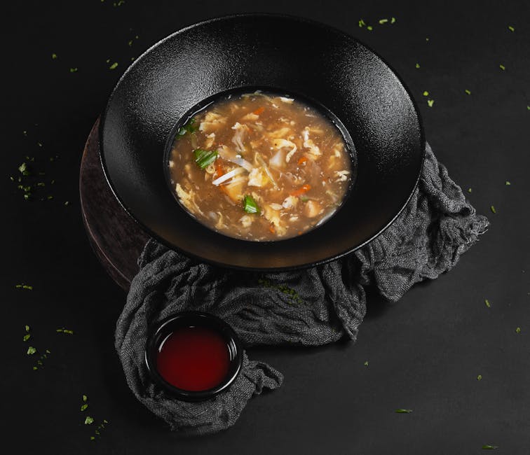 Szechuan varm og sur suppe med tofufritter