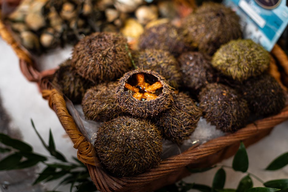 Sjøpinnsvin ceviche med appelsin- og Chile de Árbol-saus