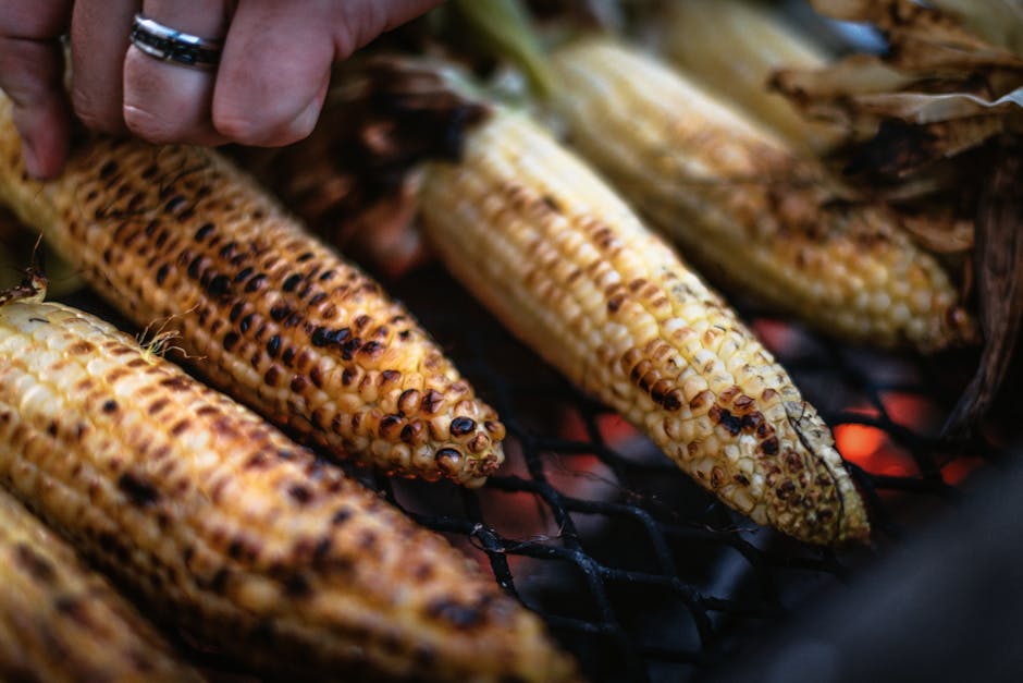 Meksikansk grillet mais (Elote)