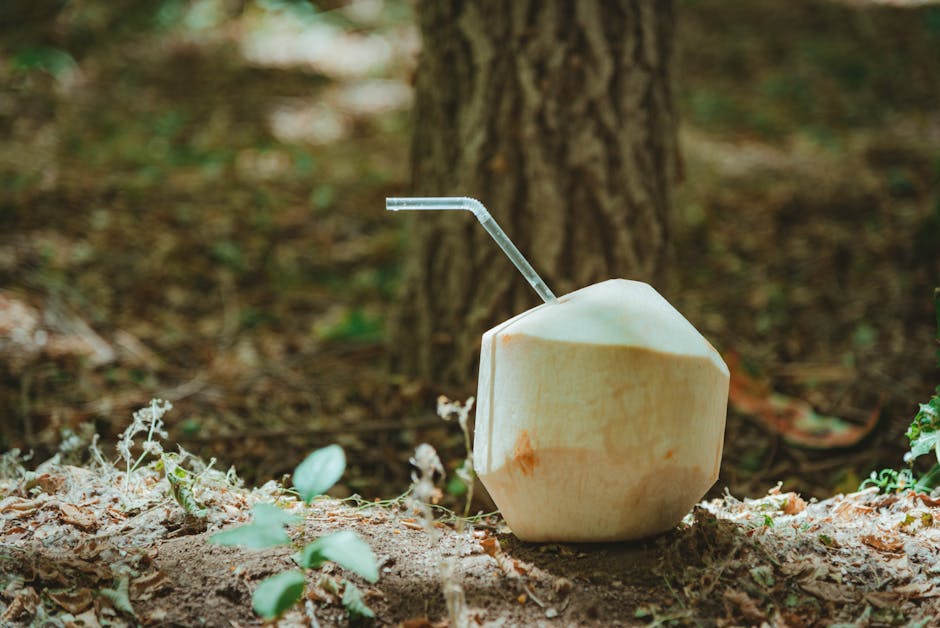 Forfriskende Buko (ung kokosnøtt) Chiller