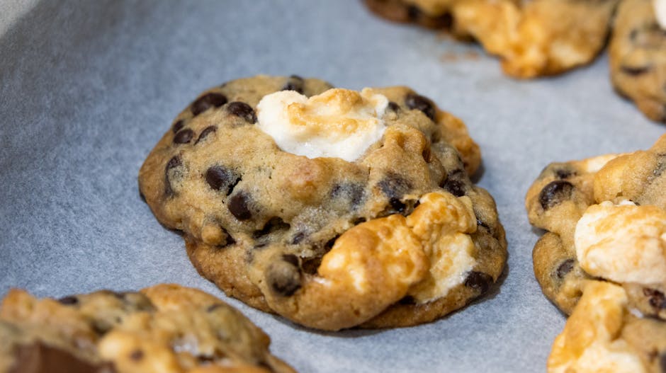 Kjeks med varm sjokolade og ristede marshmallows