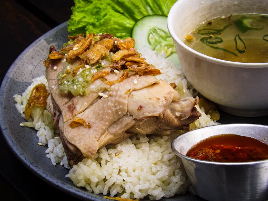 Dampet kyllingsalat med agurk og sesamsaus