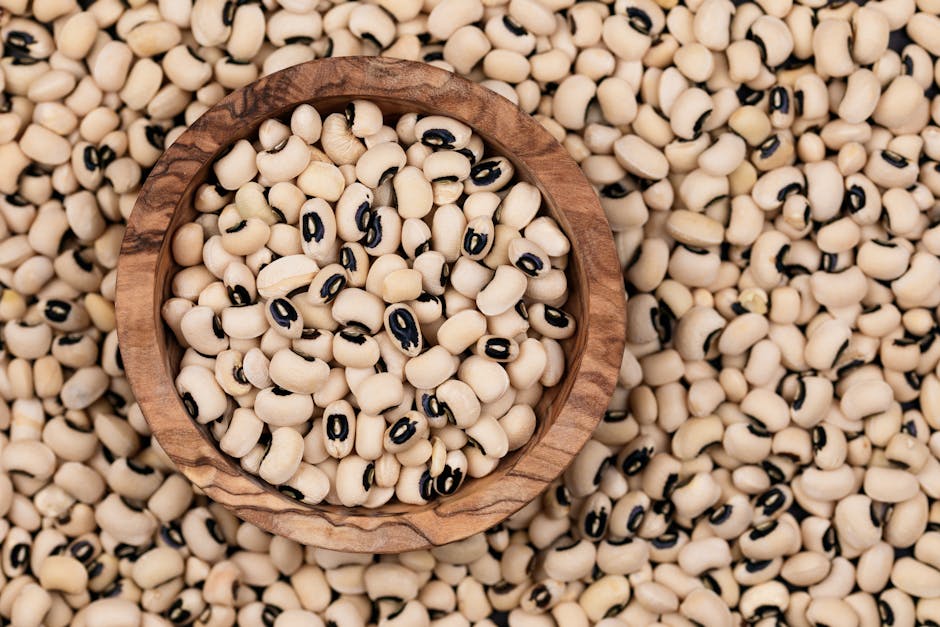 Langtidskokte krydrede svartøyebønner