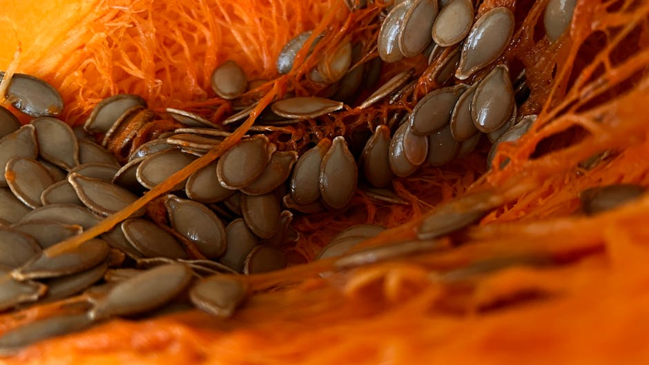 Ristede gresskarkjerner med sukker og krydder