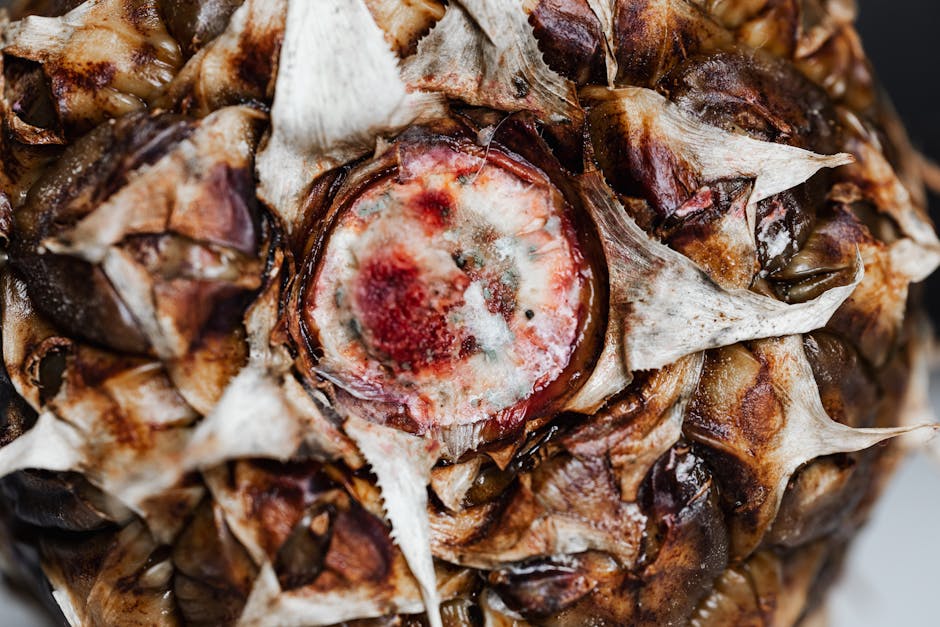 Bing kirsebærgeléform med ananas og pekannøtter