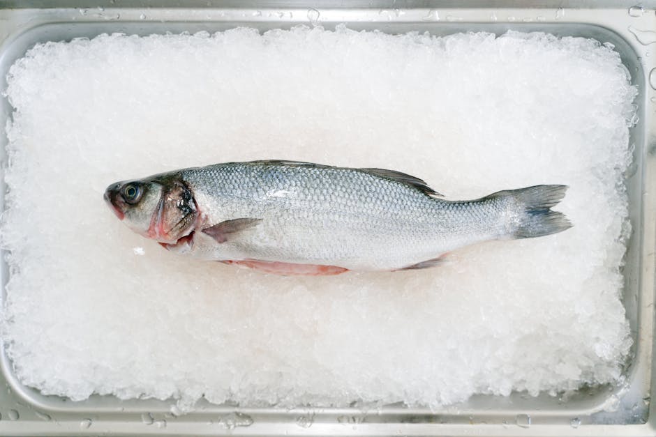 Saltbakt branzino med salsa verde