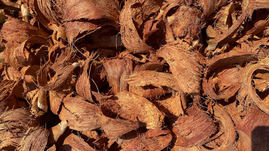 Sprø kokoschips med spisskummen og lime