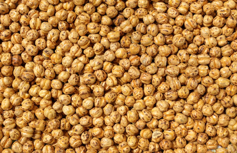 Sprø kikerter og popcorn med røkt paprika