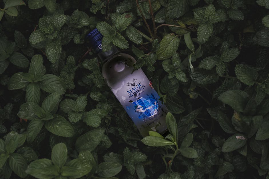 Mynte-sirup (enkel oppskrift)