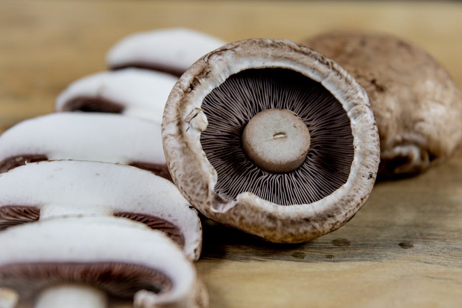 Portobello fylt med krabbekjøtt og parmesan