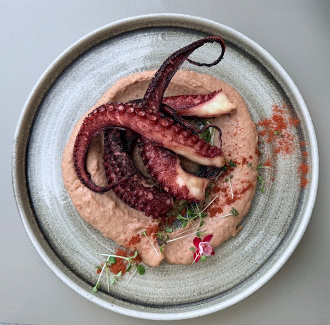 Krydret grillet blekksprut med urtesalat