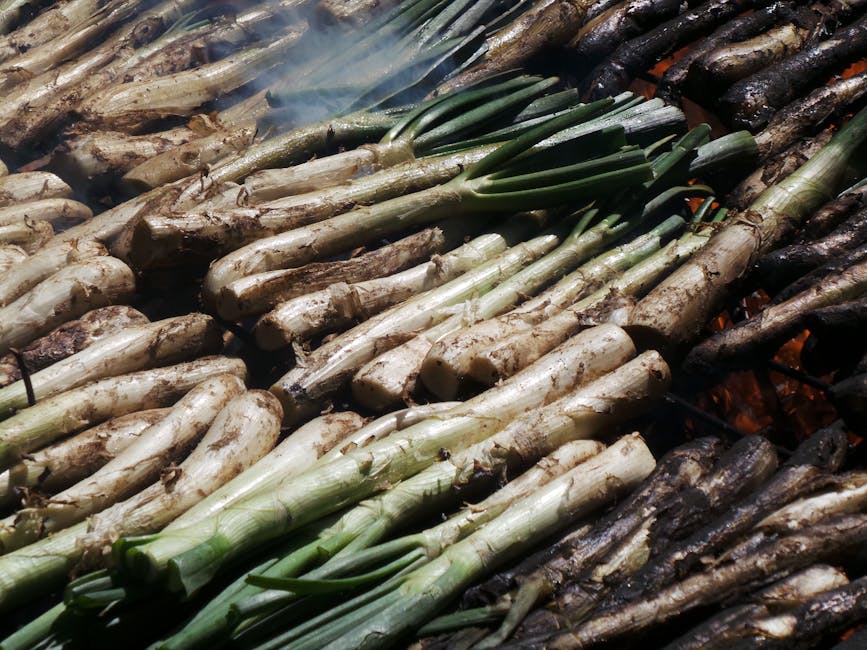 Grillede og braiserte purrer