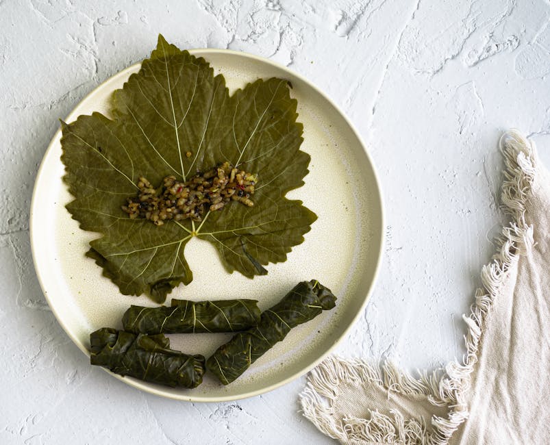 Dolmas: Fylte vinblader med kjøtt og ris
