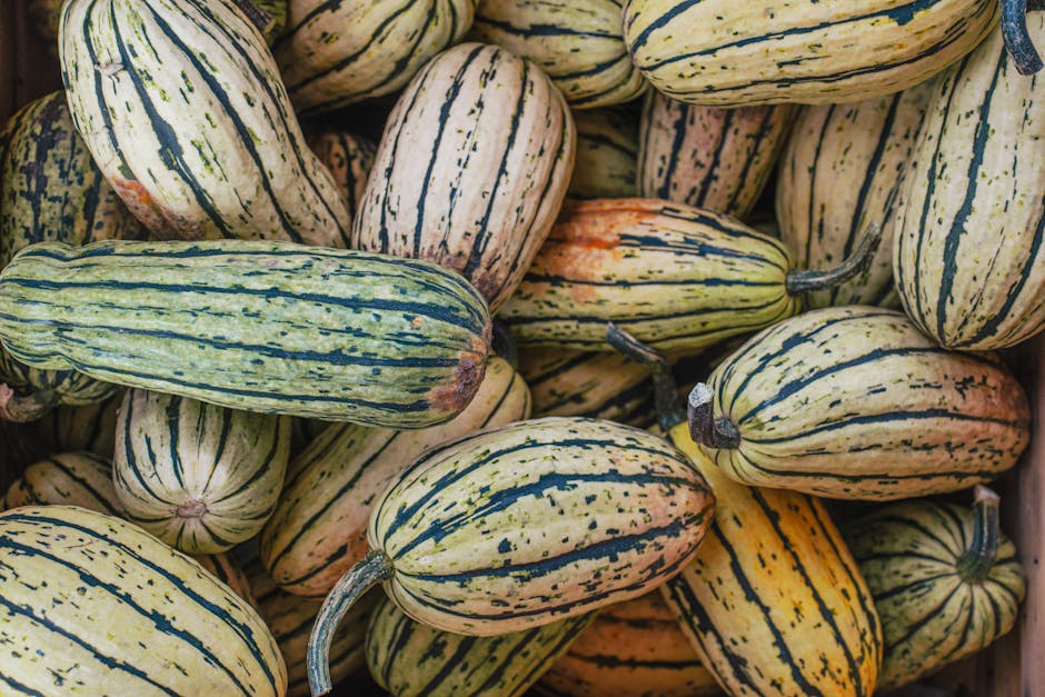 Ovnsbakt Delicata-squash med hvitløk og persille
