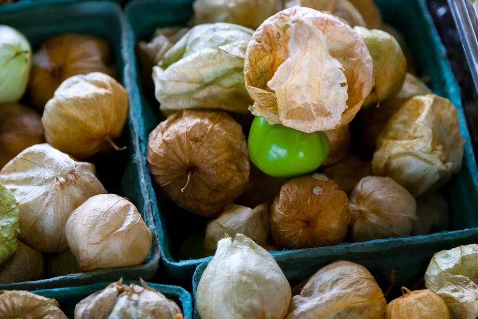 Friterte tomatillos med eple- og skinketopping
