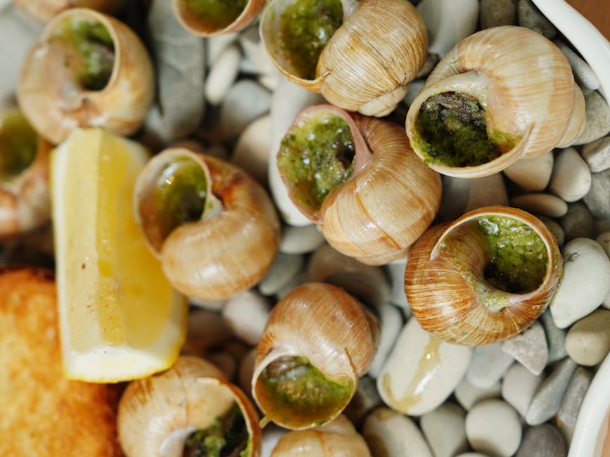 Escargot i skall med urtesmør