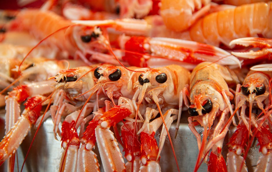 Varme langustiner med urteolje