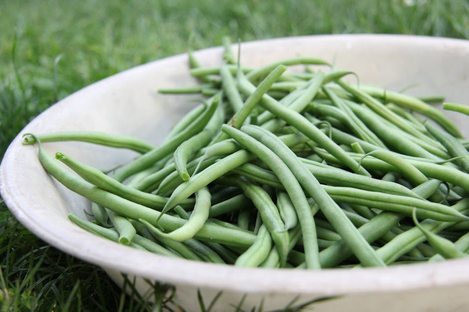 Haricots Verts Almondine (Grønne Bønner med Mandler)