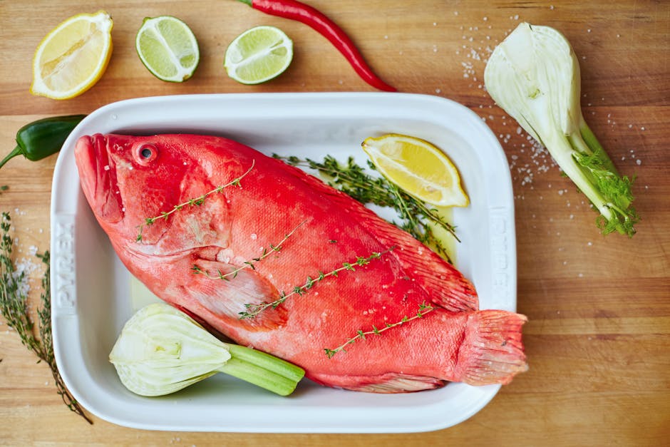 Florida-grouper med agurkslaw og key lime-smørsaus