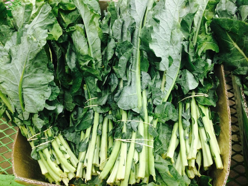 Vegetariske collard greens i sørstatsstil