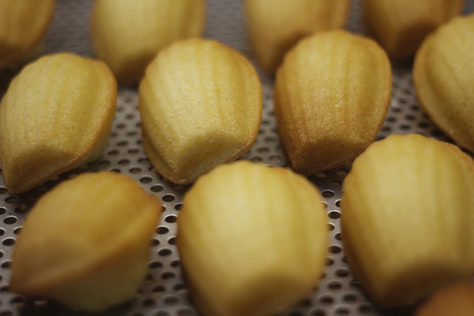 Daniel Bouluds klassiske madeleiner