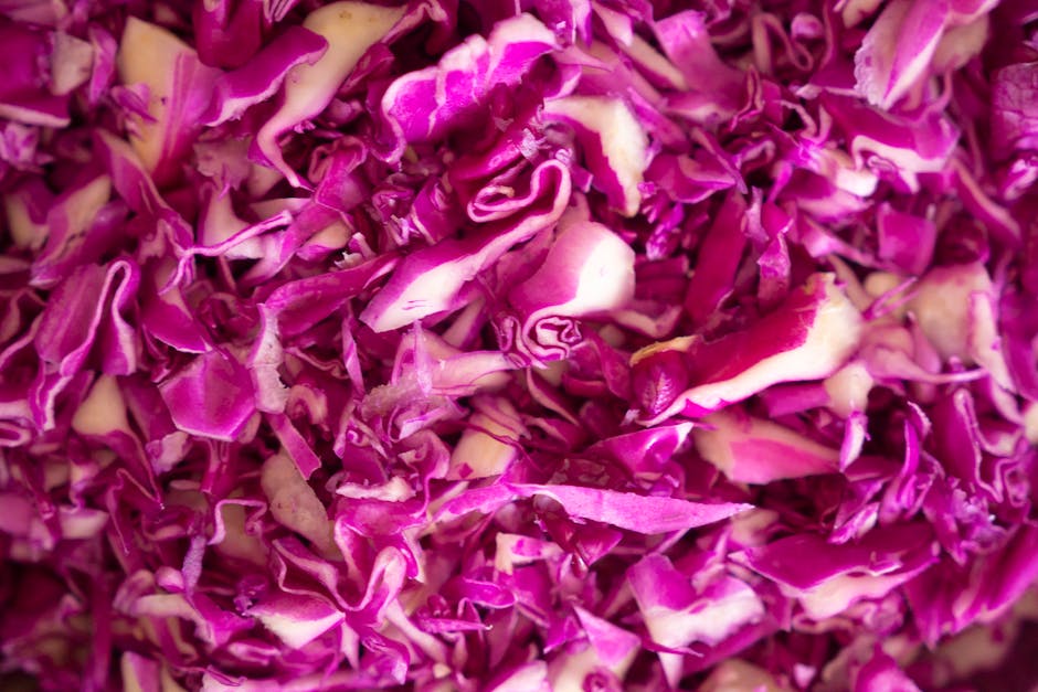 Rødkålsalat med varm pancetta- og balsamico-dressing